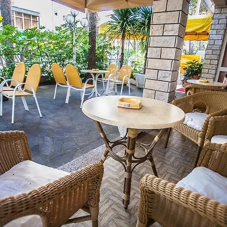 Hotel Milena 3*